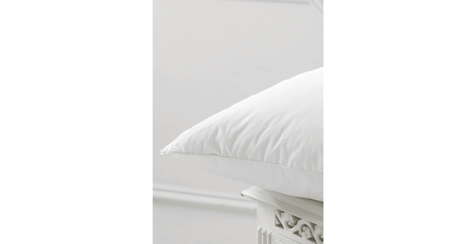 TLC goose feather filled pillow